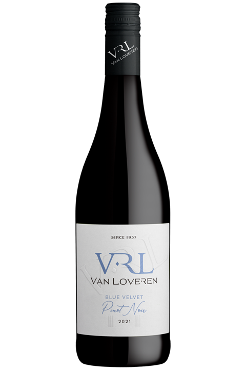 Nebbiolo Jg. 07, Kapstadt, Herkunft Südafrika, Weingebiet Sommerset West, Weinkellerei Idiom, rotwein aus südafrika, rotweine aus südafrika, südafrikanischer rotwein, südafrikanische rotweine, wein webshop, weine online bestellen, weinhandel, weinimport, 
